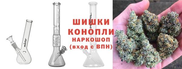 гидра Алексеевка