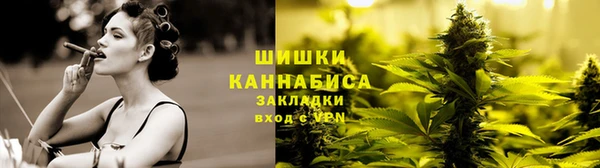 гидра Алексеевка