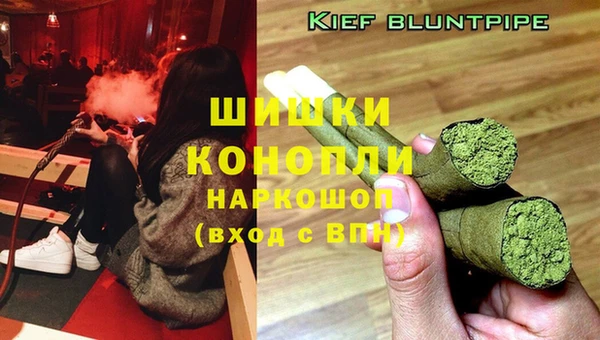 трава Аркадак