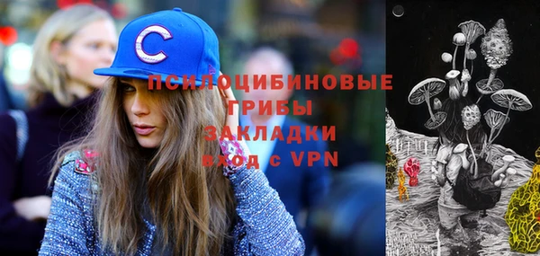 гидра Алексеевка