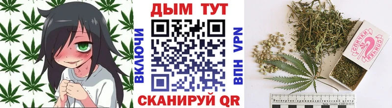 где купить наркотик  Дмитриев  Бошки марихуана гибрид 